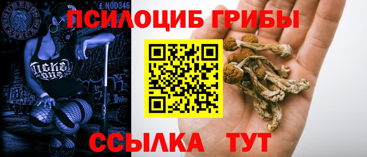 Петровск  Галлюциногенные грибы мухоморы  наркота  Вход с VPN 